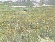 Wheat Field at Auvers with White House (nn04) Vincent Van Gogh
